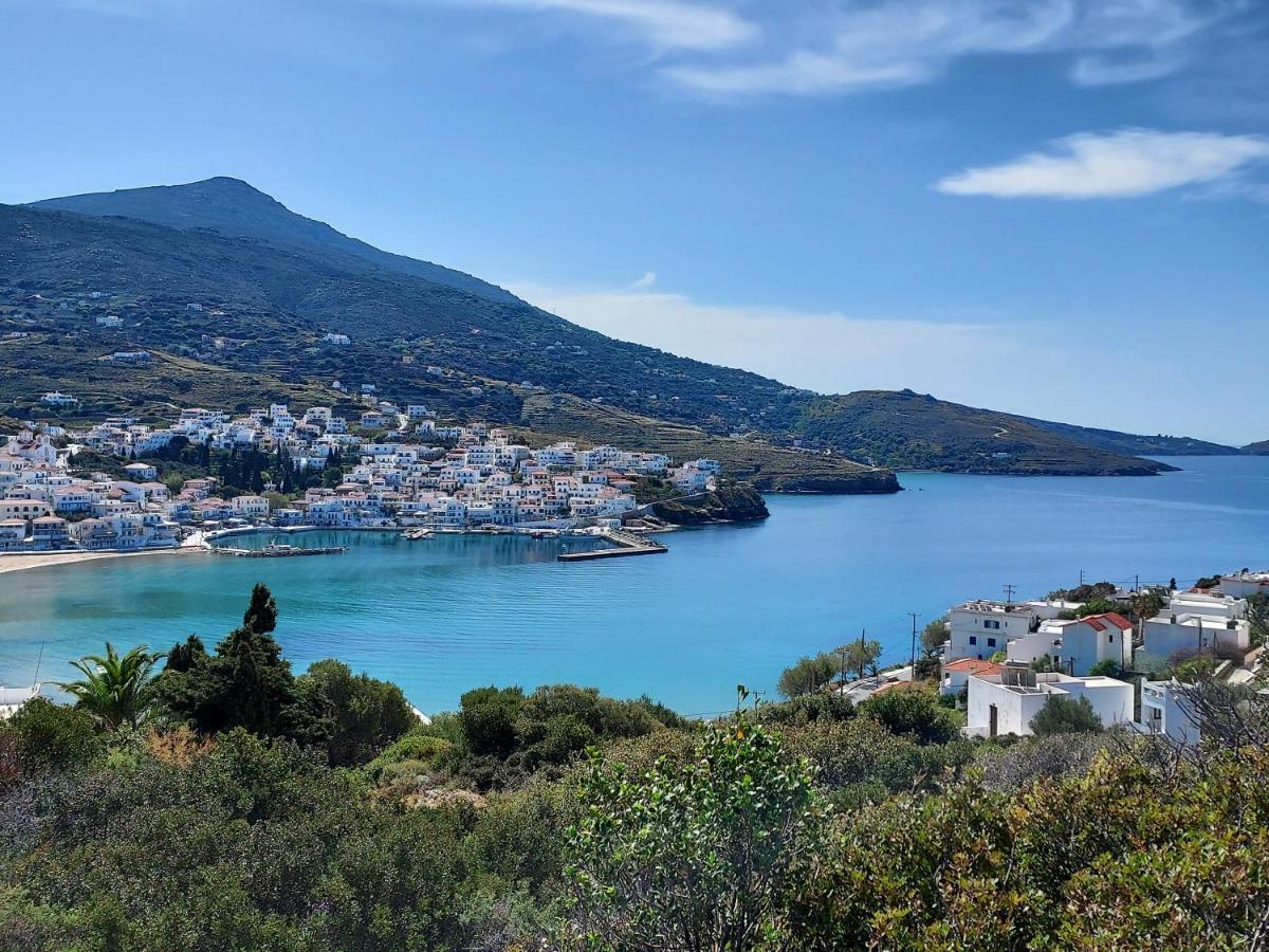 Villa Arni Andros - Βίλα Αρνη バトシ エクステリア 写真