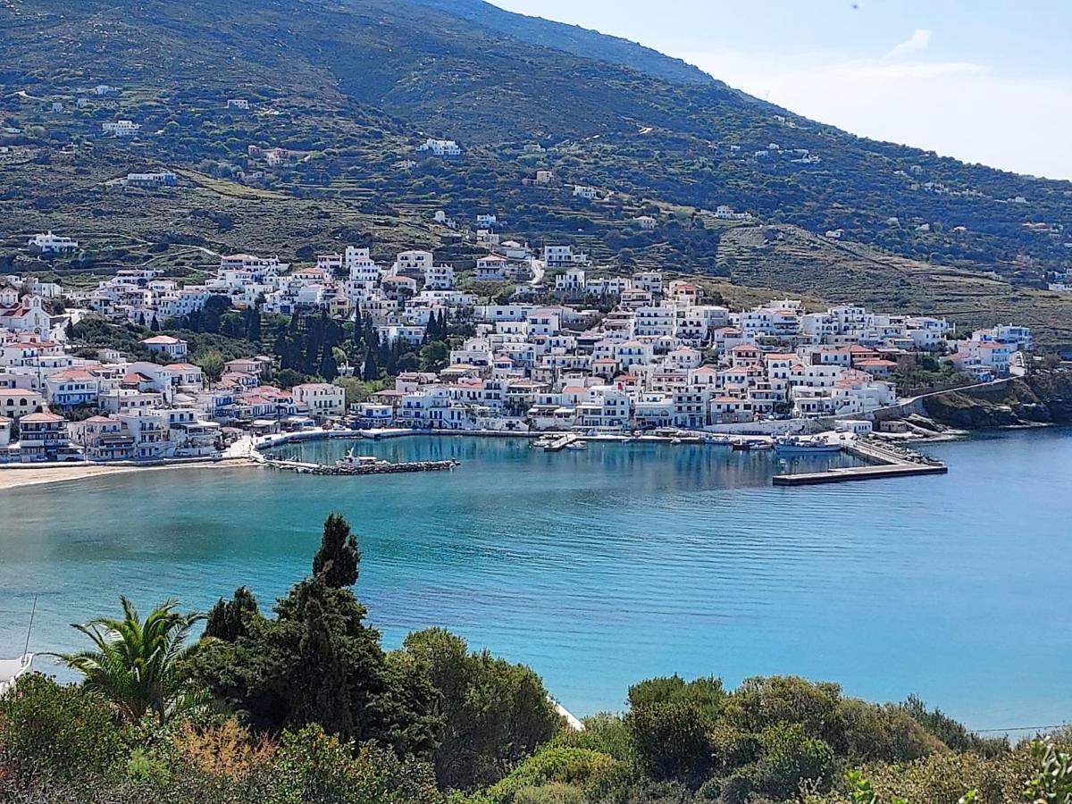 Villa Arni Andros - Βίλα Αρνη バトシ エクステリア 写真