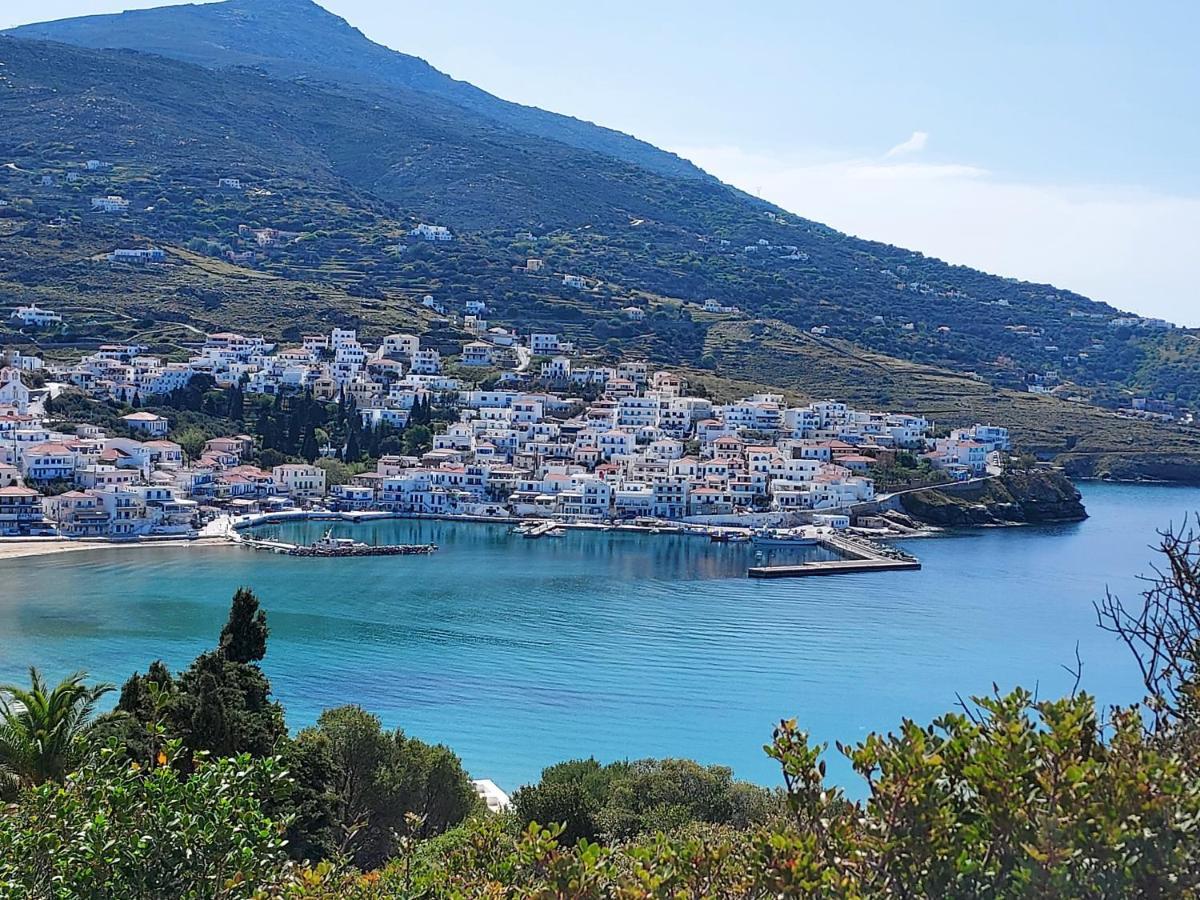 Villa Arni Andros - Βίλα Αρνη バトシ エクステリア 写真