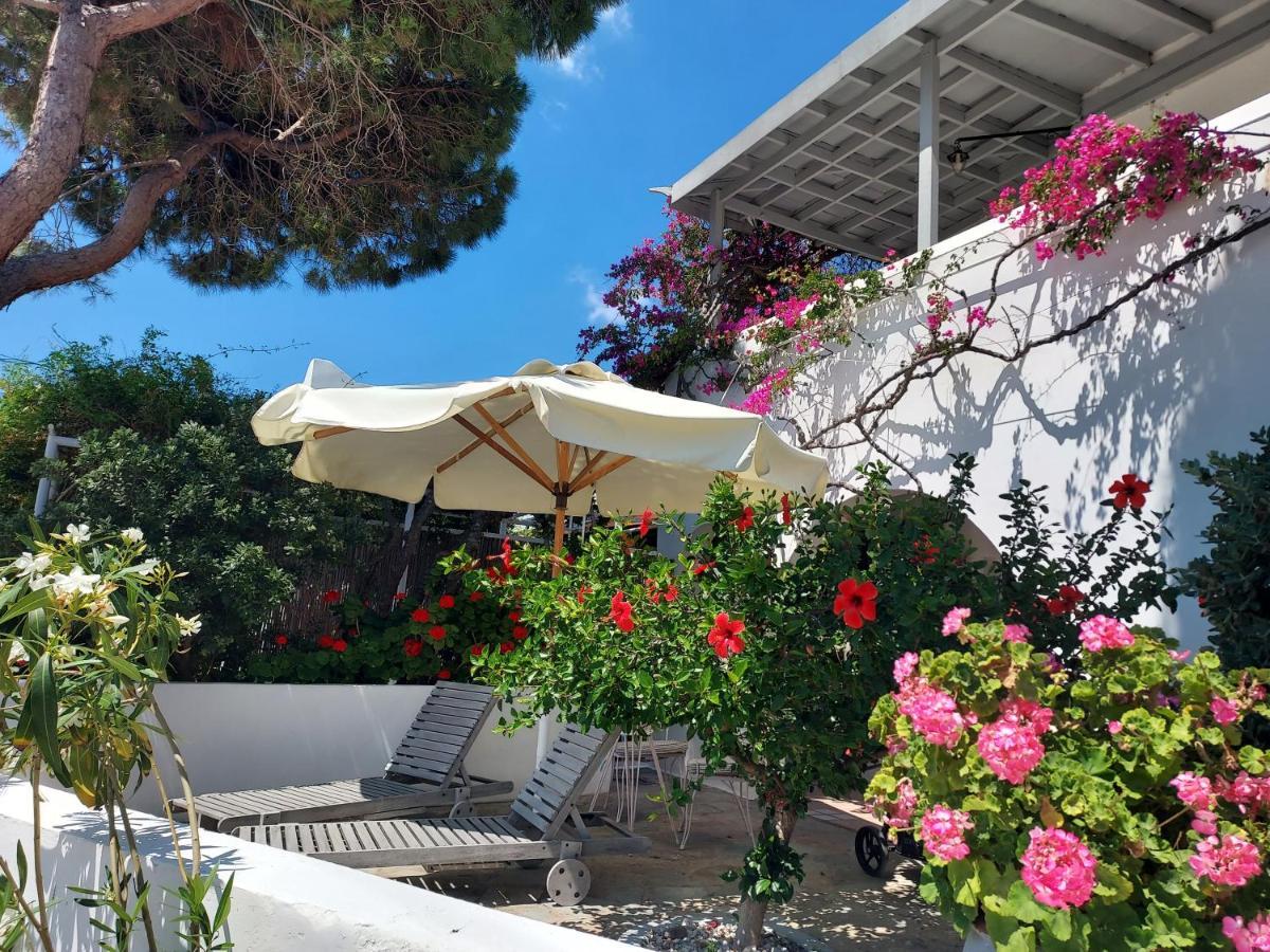 Villa Arni Andros - Βίλα Αρνη バトシ エクステリア 写真