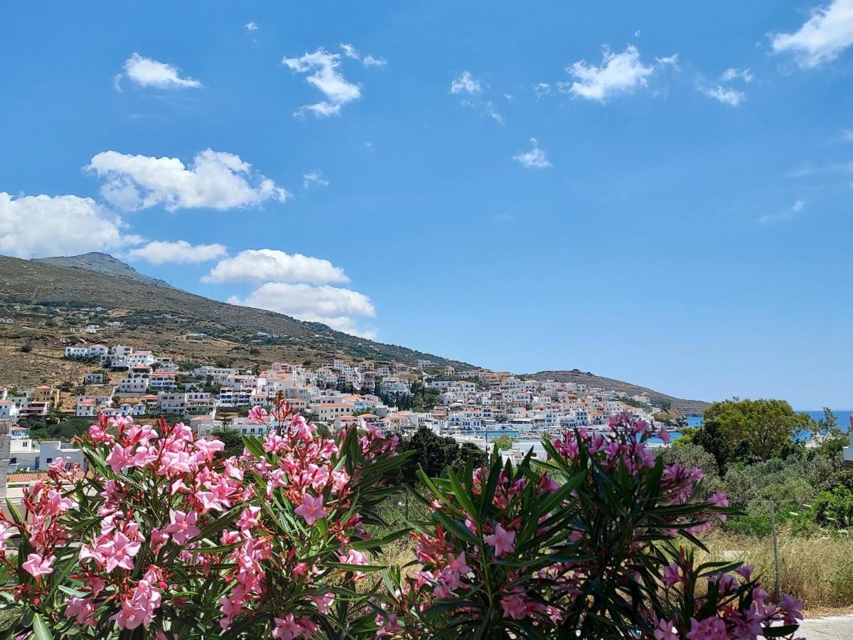 Villa Arni Andros - Βίλα Αρνη バトシ エクステリア 写真