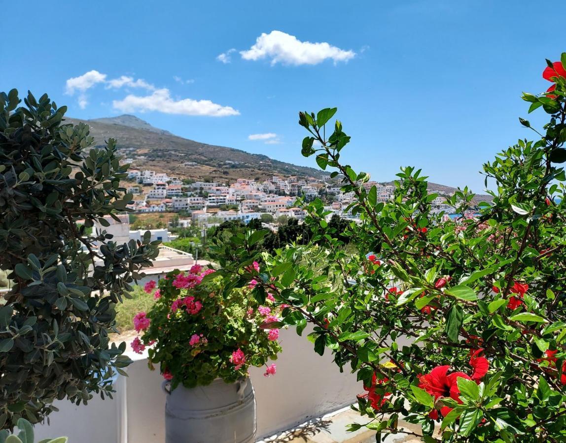 Villa Arni Andros - Βίλα Αρνη バトシ エクステリア 写真