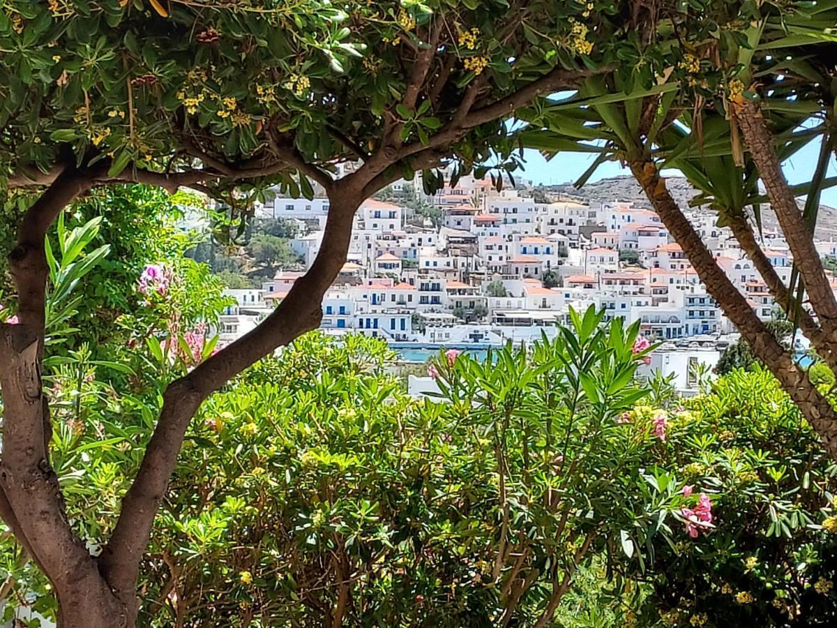 Villa Arni Andros - Βίλα Αρνη バトシ エクステリア 写真