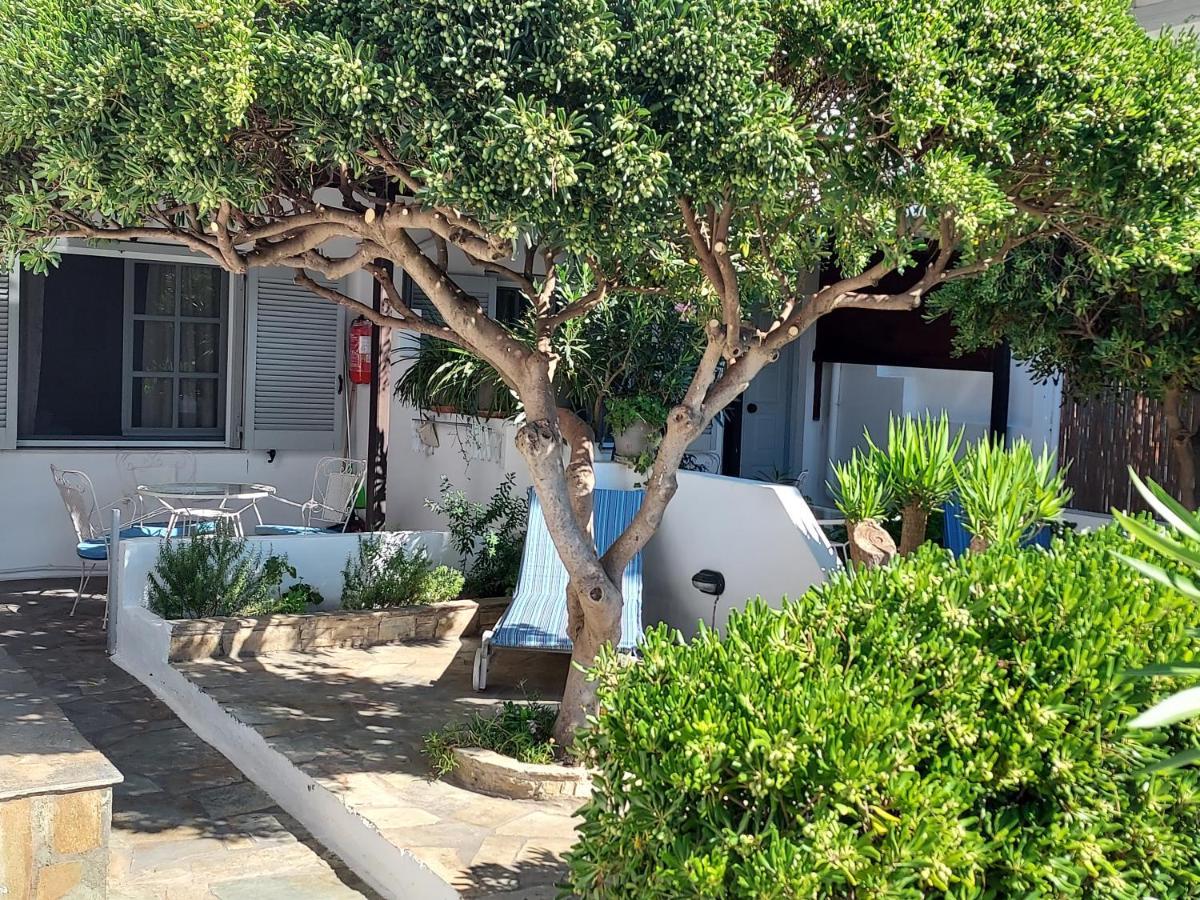 Villa Arni Andros - Βίλα Αρνη バトシ エクステリア 写真