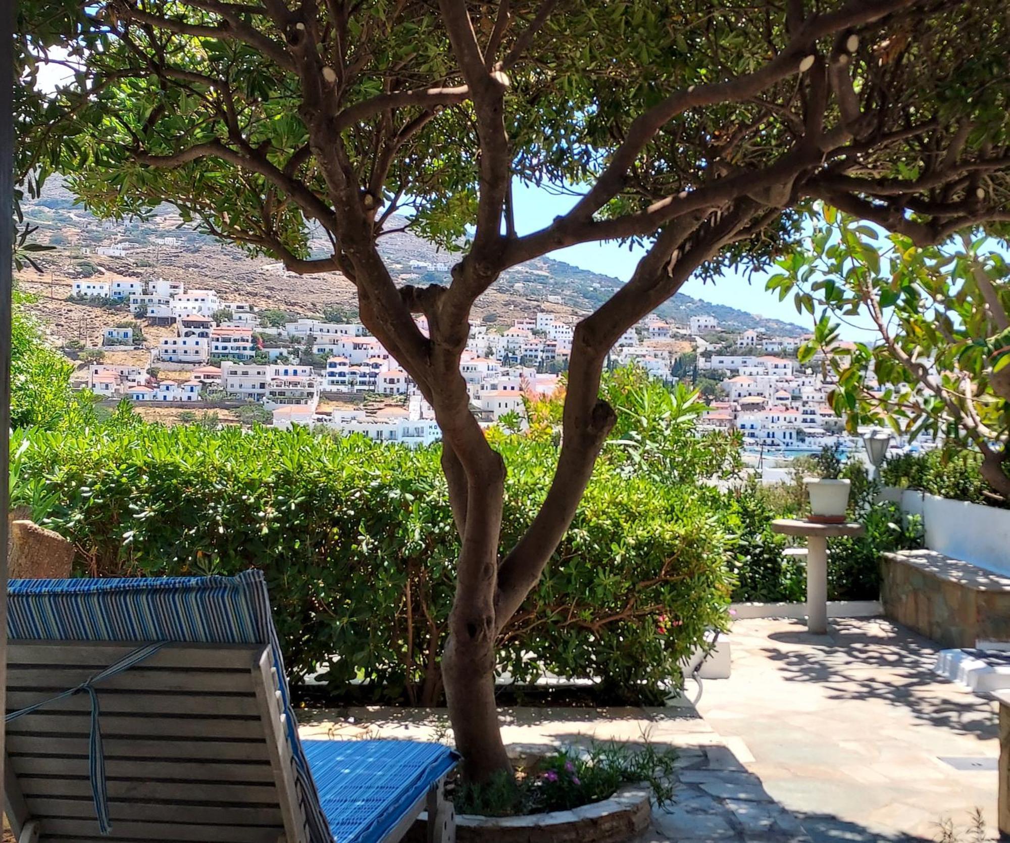 Villa Arni Andros - Βίλα Αρνη バトシ 部屋 写真