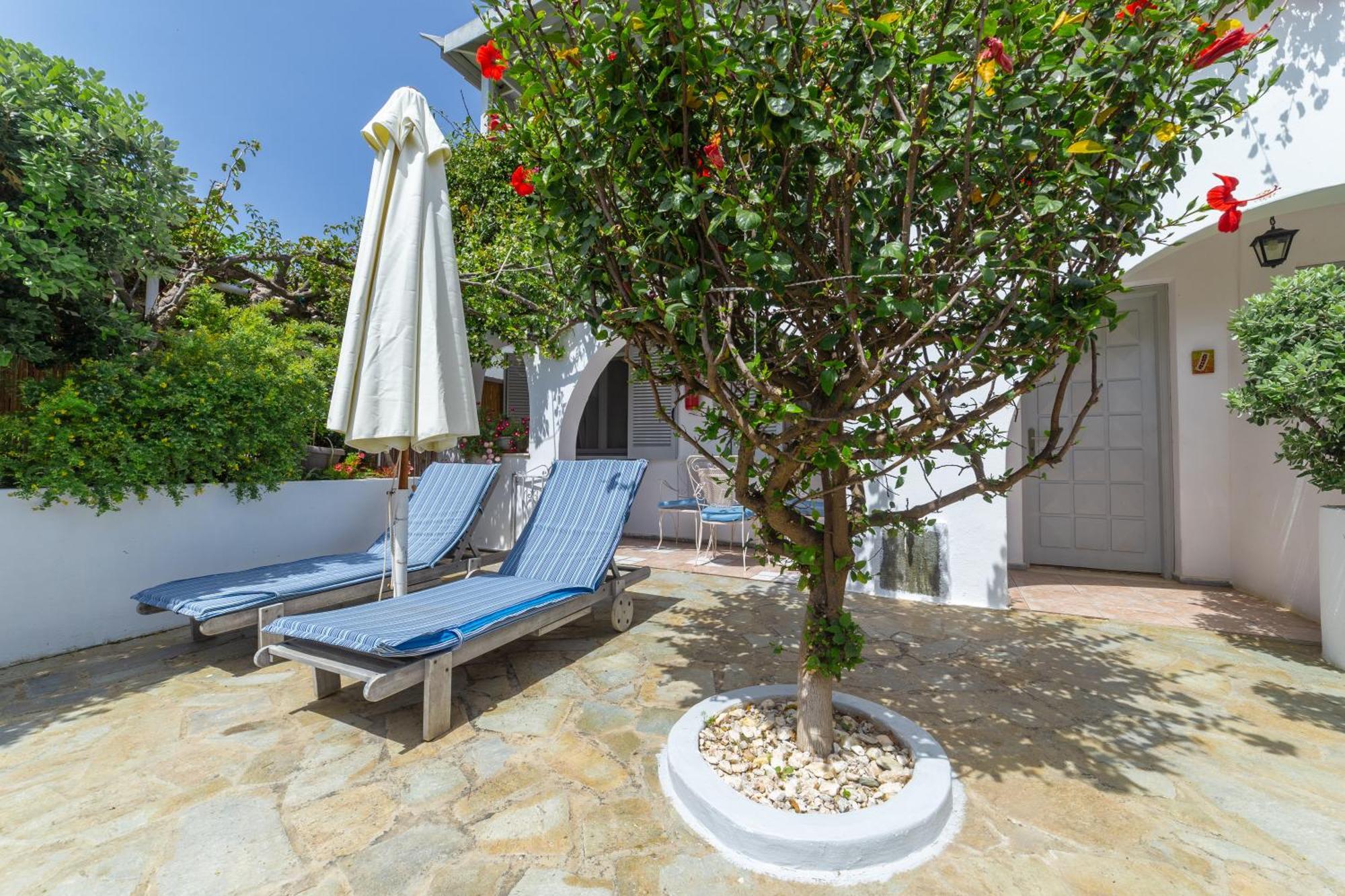Villa Arni Andros - Βίλα Αρνη バトシ エクステリア 写真