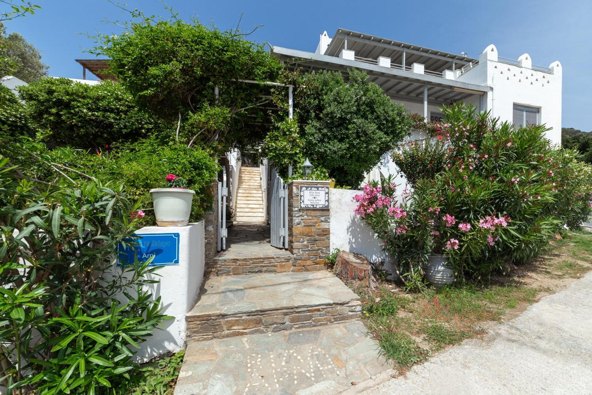 Villa Arni Andros - Βίλα Αρνη バトシ エクステリア 写真
